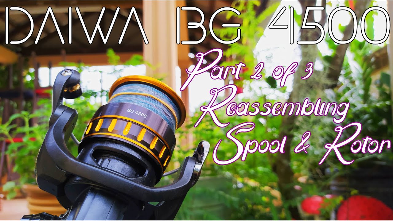 Daiwa BG 4500 - Reassembling Spool and Rotor - Part 2 Reel servicing 