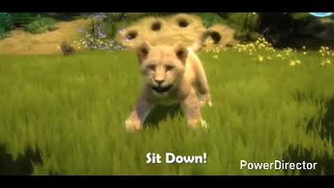 What Did You Think About My Wildest Awesomeness Amazingness Zoo Tricks?.