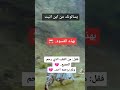 القسوة تأتي بسبب الطيبة القسوة تأتي بسبب الطيبة