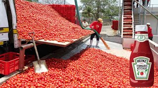 ▶️How Is Tomato Ketchup Produced? 🍅: HEINZ Factory Tour - Manufacturing Process & Production