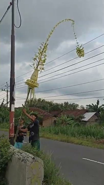 Janur Kuning melengkung