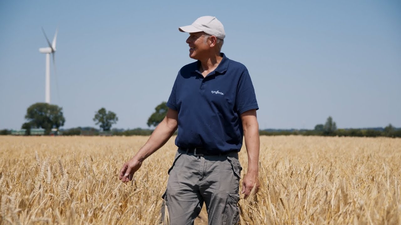 Syngenta Seeds | Ernte der Hybridgerste im Kreis Verden (Aller) | Dritter Besuch bei Stefan Grimm