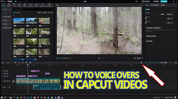 How To Do A VoiceOver In CapCut PC & Mac 🎤📽️