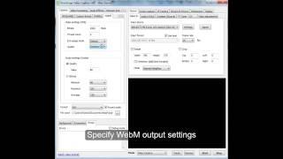 Video Capture SDK / SDK .Net - WebM output