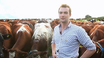 Managing health and fertility of 630 dairy cows - MooMonitor+