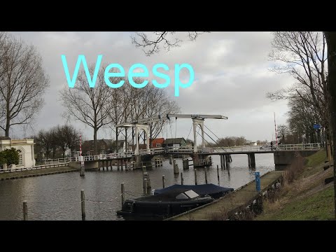 Weesp
