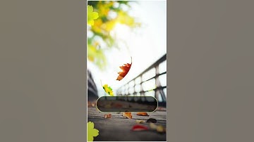 ♦️ #حالة_واتساب ♦️ القارئ: #ناصر_القطامي •••━══❁✿❁══━•••