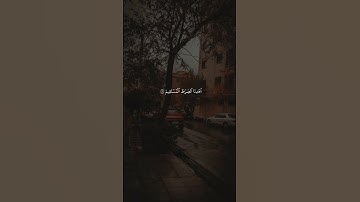 سورة الفاتحة بصوت قارئ ماهر المعيقلي #قرآن #القرآن_الكريم #ماهر_المعيقلي