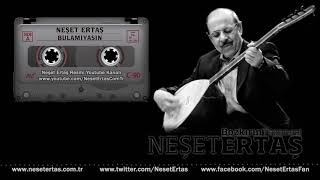 Neşet Ertaş - Bulamıyasın