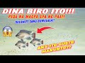 DINA BIRO ITO GUSTO MANAPAK!MAY PA SPA NG ISDA SA DOLOMITE MILLION NAGPASIKAT GRABEH MANILA BAY