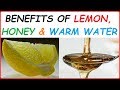 11 benefits of warm water with lemon and honey in the morning advantages  biggest reasons to drink