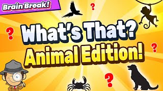 What's That? Animal Edition | Brain Break | Guess Who? Games For Kids | GoNoodle Inspired screenshot 3