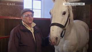 Petr Vozáb je srdcař - koně jsou jeho život