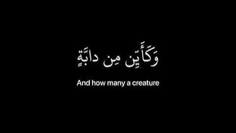 تلاوة هادئة تريح القلب والعقل♡ستوريات انستا_حالات واتس اب دينية♡🕊