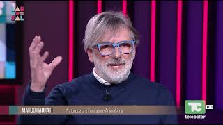 Infiammazione e sistema immunitario: come modulare le difese naturali