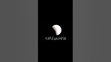 "فإذا برق البصر وخسف القمر" سورة القيامة للقارئ بدر التركي #تلاوة_خاشعة #quran #لايك #اكسبلور #قرآن