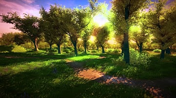 Nature Starter Kit 2