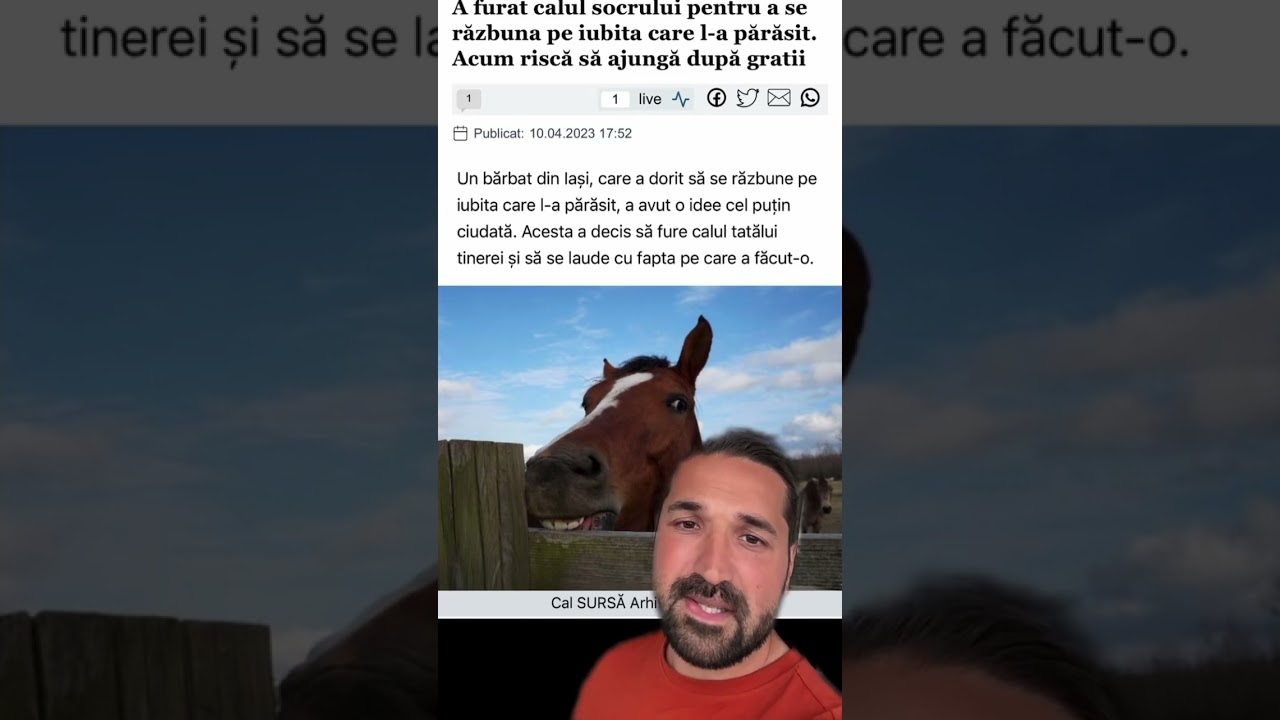 Ce s-a-ntâmplat săptămâna asta în #Romania #stiri #noutati #caini #shorts #tudorestischimbarea