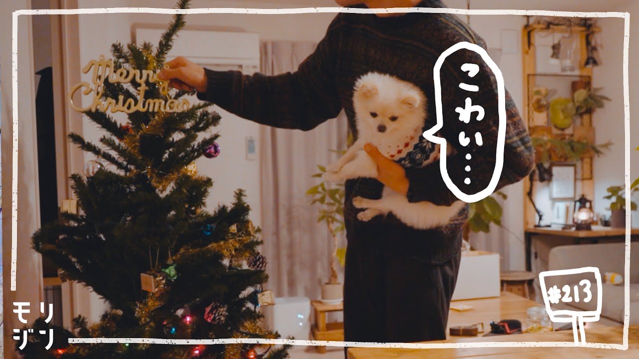 ビビリ犬とクリスマスツリーを飾ってみた　#213