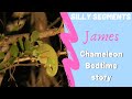 James Hendry reads a chameleon a bedtime story safarilive funny moment