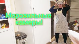 ОБЗОР моих МОРОЗИЛЬНЫХ КАМЕР В США / СЕЛЬЧАНКА В АМЕРИКЕ 💝