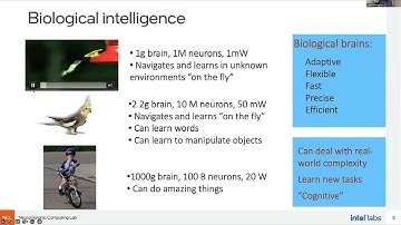 tinyML Neuromorphic Engineering Forum - Yulia Sandamirskaya: Neuromorphic intelligence and...