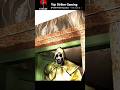 Frenetic Horror Game Full Gameplay #shortsfeed #funnymoments #youtubeshorts #ytshorts