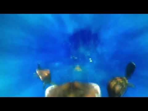 Finding Nemo righteous