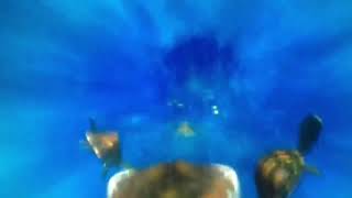 Finding Nemo righteous