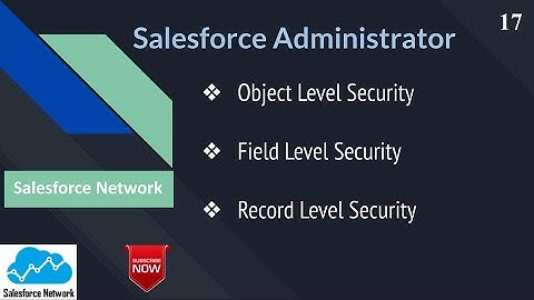 Day 17 Object, Field, and Record Level Security in Salesforce