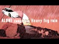 Solo HONDA NSX camping in heavy rain and fog. Cozy camping in HILLEBERG tent with dog.