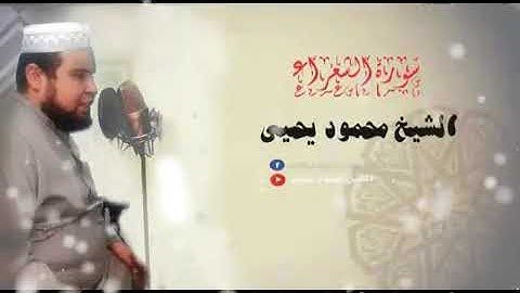 تلاوه الشيخ محمود يحيي