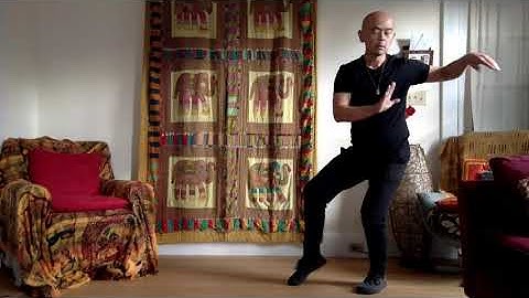 Tai Chi from single whip to Step up, parry and punch.