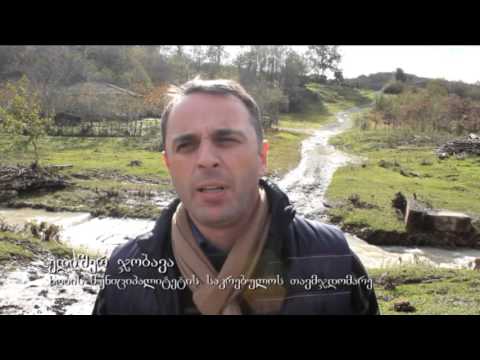 ბიაში დაზიანებული ხიდბოგირის და დამეწყრილი გზის მოწყობა განხორციელდება