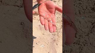 Beach Find – Lost Gold Bracelet Discovered on the Beach! #bestmetaldetector #beachfind