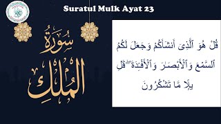 Surah Mulk Ayat 23 with word to word and Tajweed Ahkaam 2