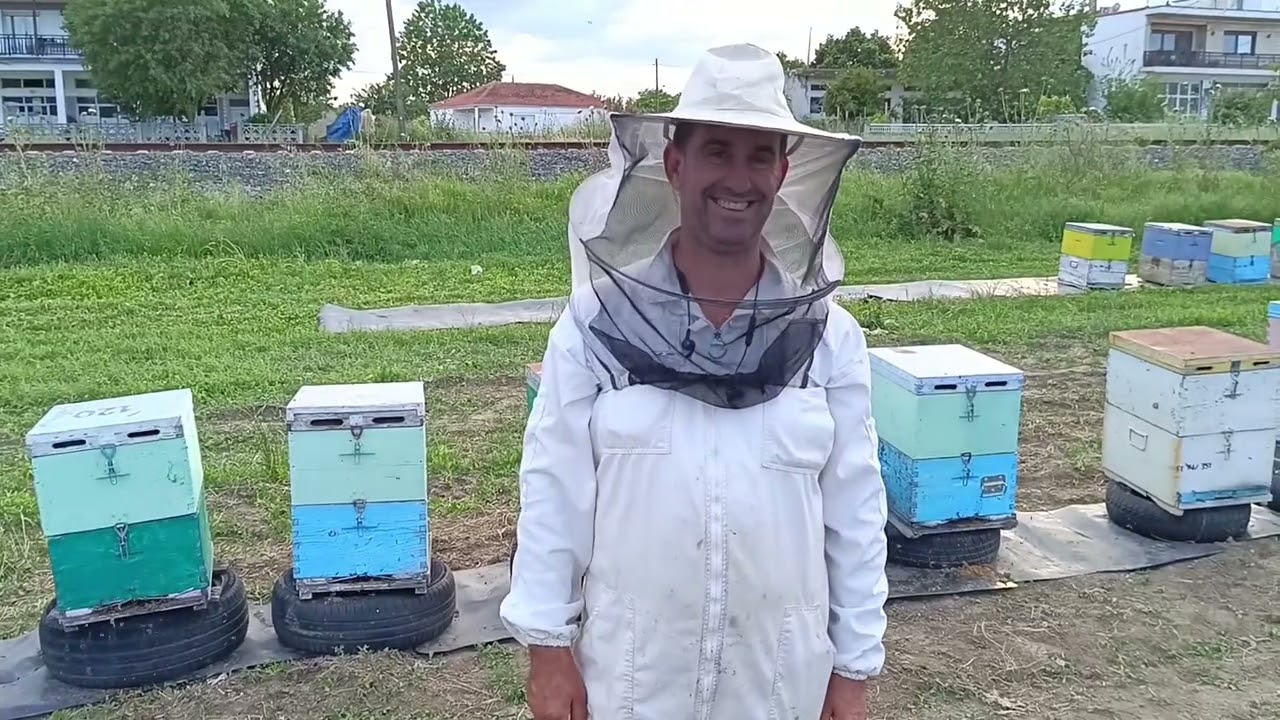 Project στατική μελισσοκομίας στον Έβρο!