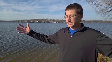 Buffer Strips and Natural Plants