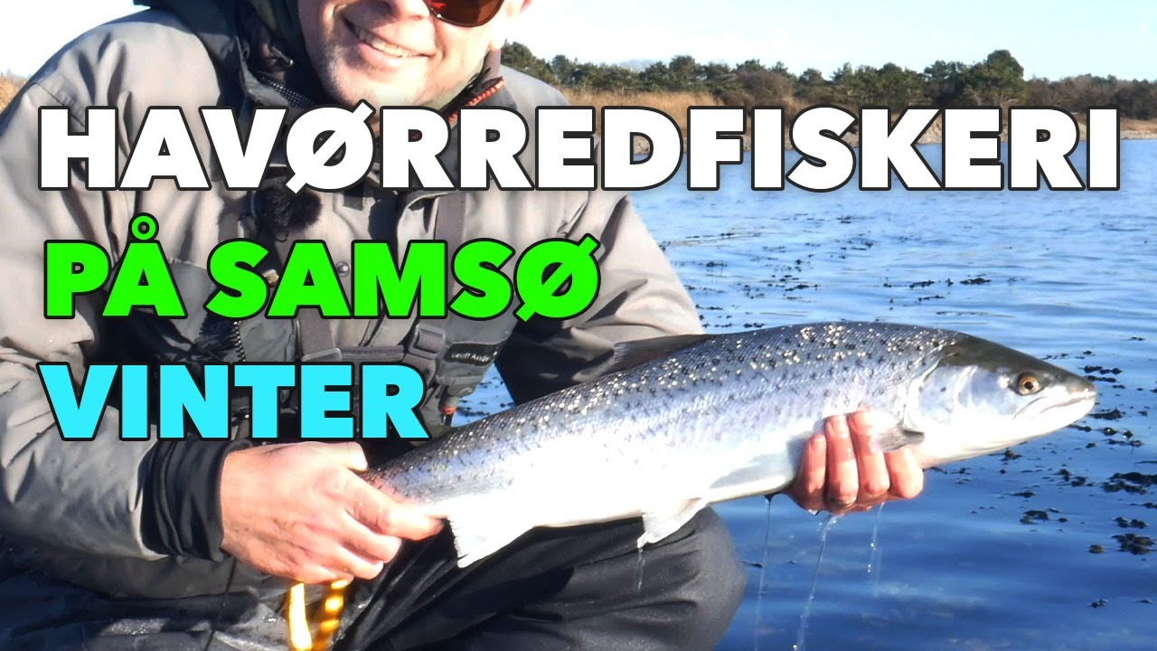 Havørredfiskeri Vinter Lystfiskeri På Samsø - Fisketur i Danmark🎣