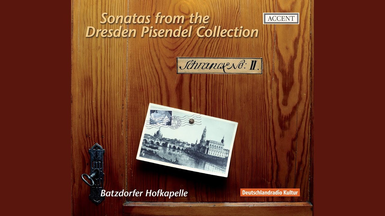 Suite for Violin and Harpischord in A Major, BWV 1025: VI. Menuett (arr. S. L. Weiss)