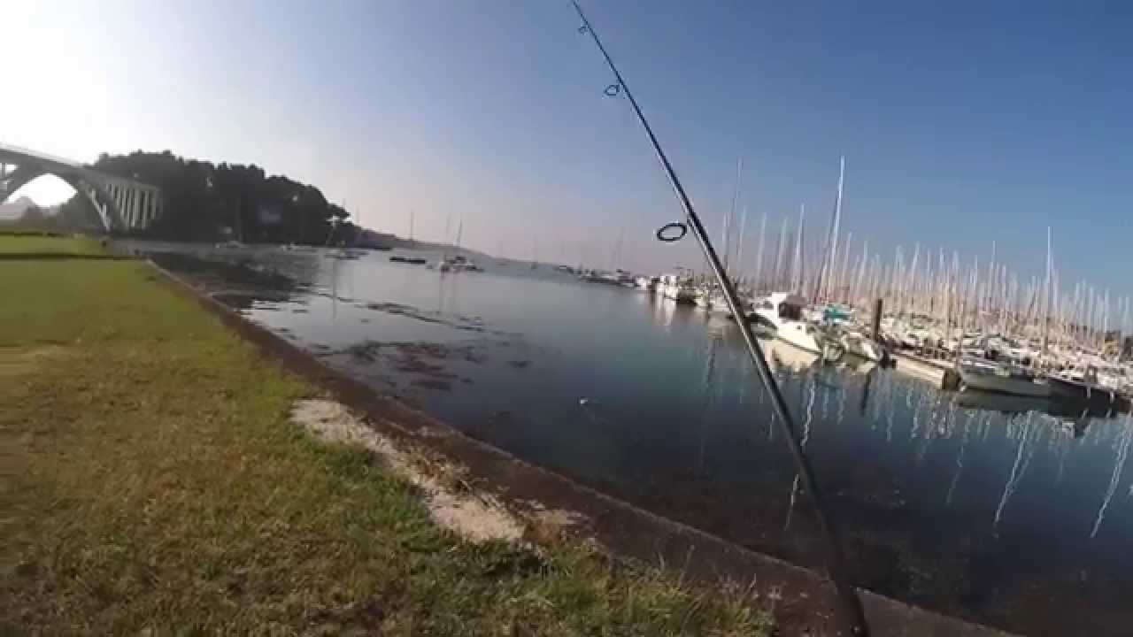 Pêche Du Bar Au Leurre Du Bord