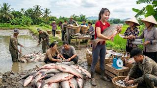 Harvesting 1000 Big Carp With Fishing Nets  Loading Horse Cart  Of Fish To Sell At Market
