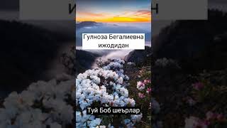 туй боб шеърлар#туй боб#шеърлар#