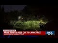 Large tree falls down on Bluff Road in Ascension Parish