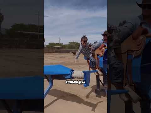 подготовка юного ковбоя #shortvideo