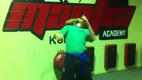 Mantis Kung Fu Academy   Enjoy