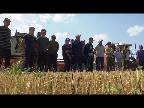 В Нурлате завершается уборка урожая