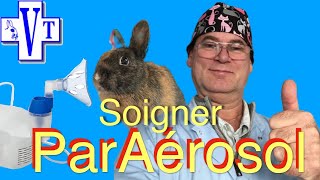 Dr Vanhée Véto: Traitement par Aérosol  Nébulisation des chats rongeurs & lapins (Coryza Rhume)