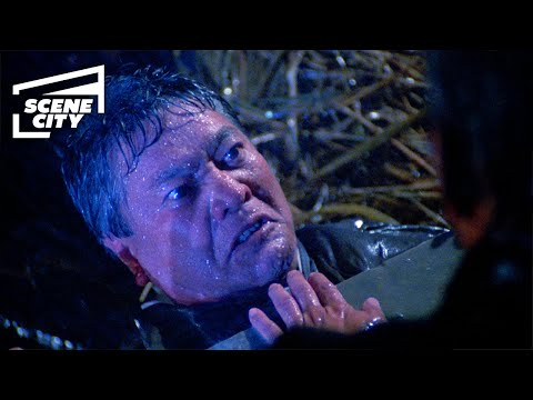 The Karate Kid Part 2: Saving Sato in the Storm (HD Clip)