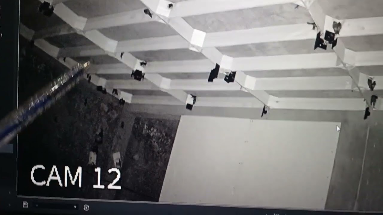 chia sẻ cách giữ chim non ở lại phòng lượn